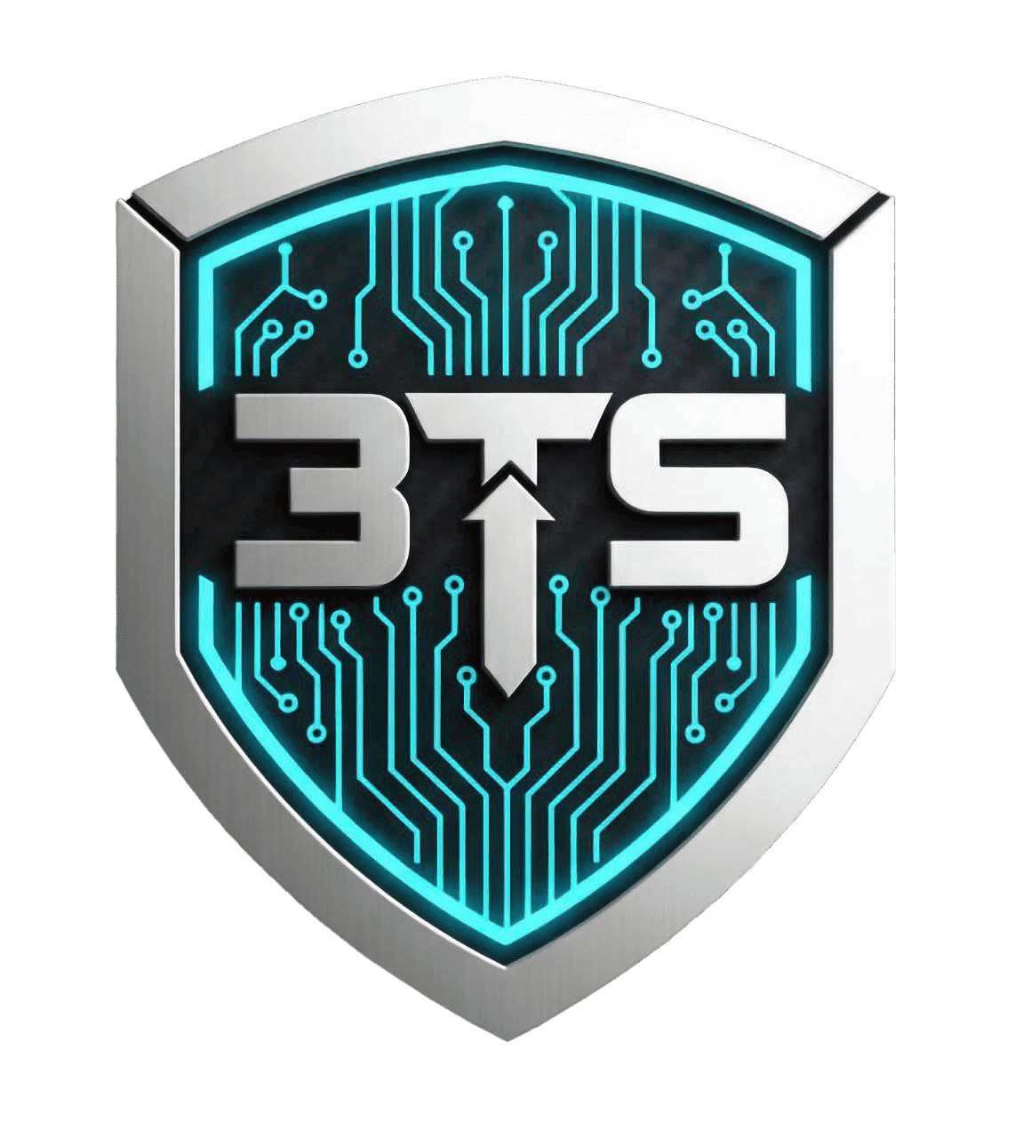 3TS Logo